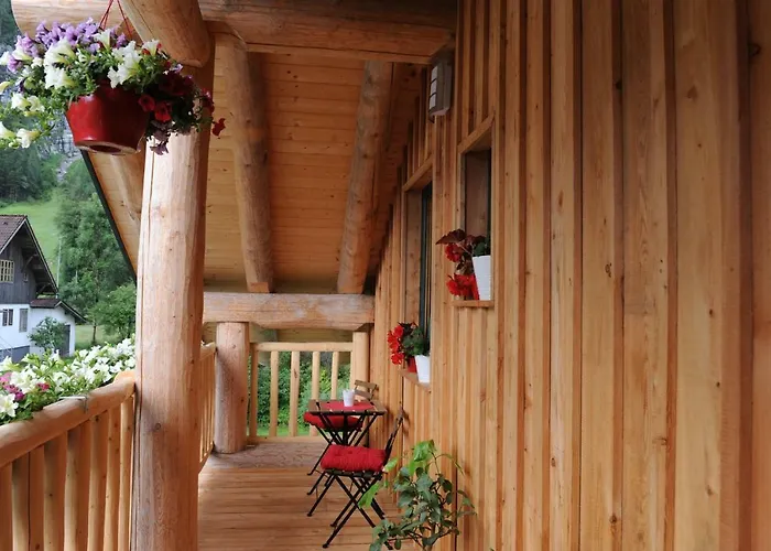 C.t.n 로그하우스